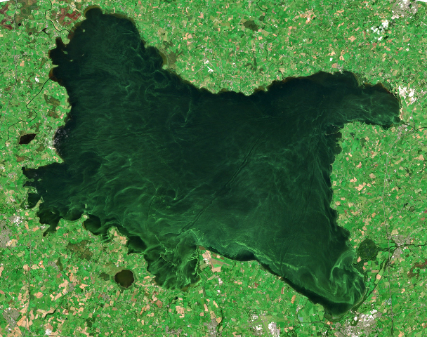 Competition to monitor Lough Neagh Algae launched in Northern Ireland